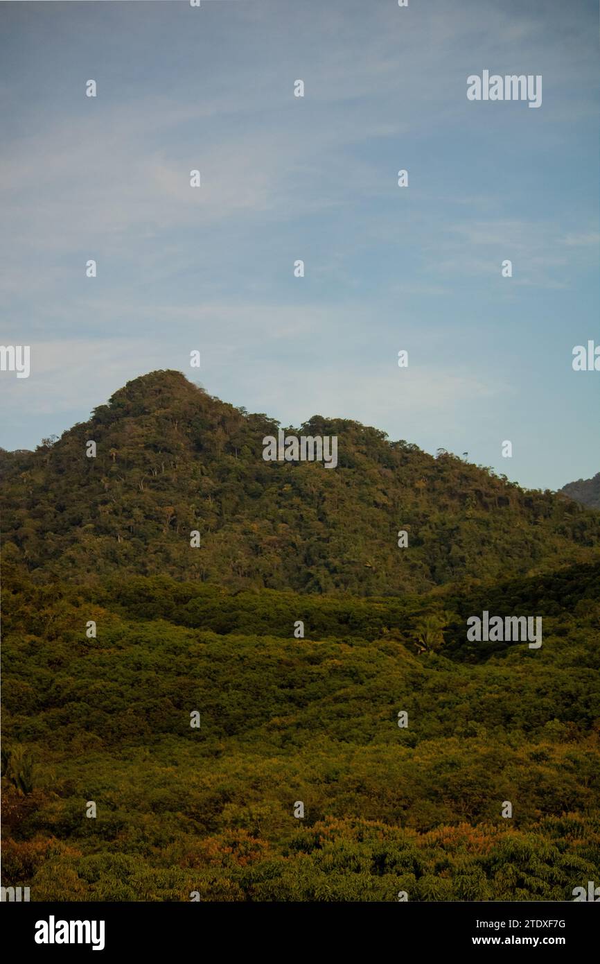 Tropische Wandteppiche: Üppige Landschaften mit lebendigem Grün und in warmen Farbtönen getaucht, wo dichte Vegetation auf die Umarmung einer tropischen Atmosphäre trifft. Stockfoto