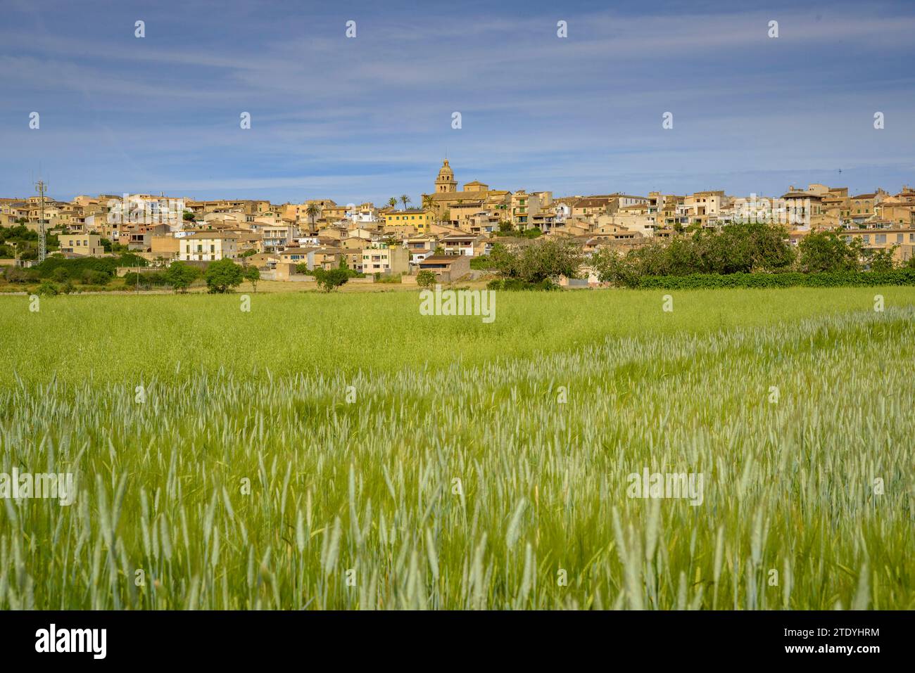 Dorf Montuiri und Kulturfelder in der Nähe des Dorfes, grün im Frühjahr (Mallorca, Balearen, Spanien) ESP: Pueblo de Montuiri y campos rurales Stockfoto