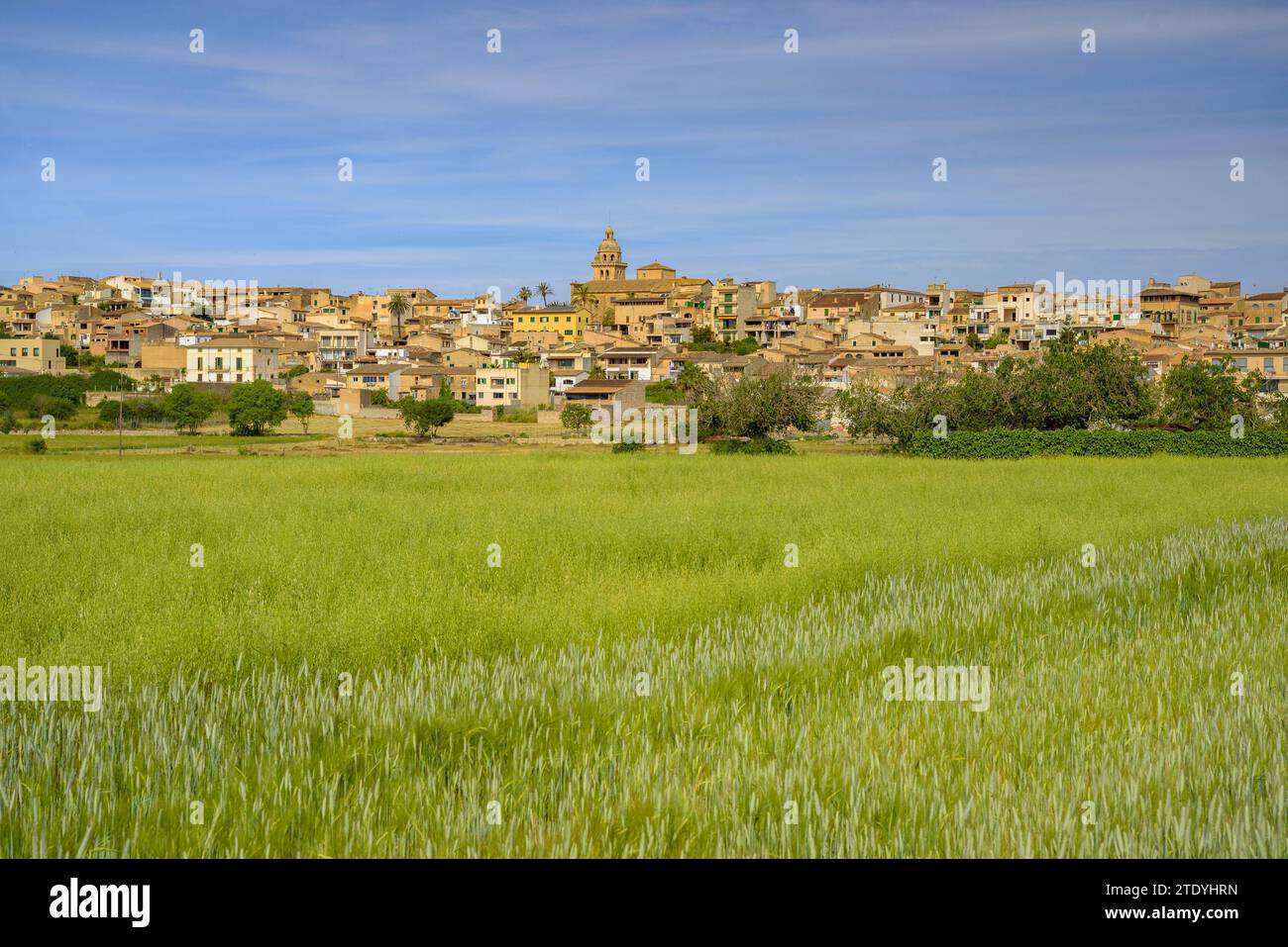 Dorf Montuiri und Kulturfelder in der Nähe des Dorfes, grün im Frühjahr (Mallorca, Balearen, Spanien) ESP: Pueblo de Montuiri y campos rurales Stockfoto