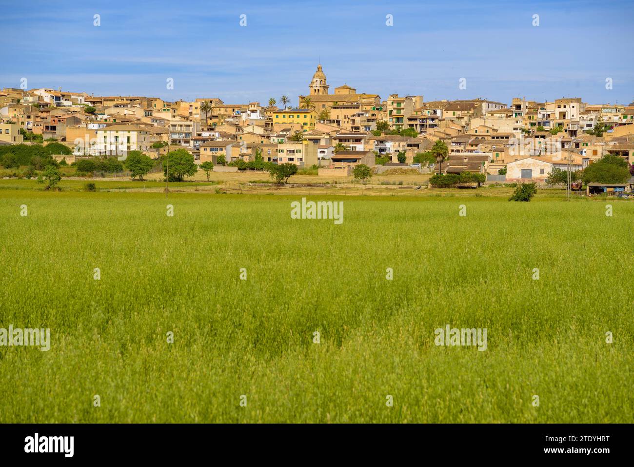 Dorf Montuiri und Kulturfelder in der Nähe des Dorfes, grün im Frühjahr (Mallorca, Balearen, Spanien) ESP: Pueblo de Montuiri y campos rurales Stockfoto