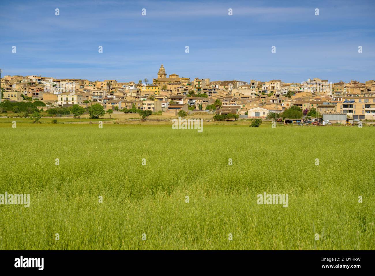 Dorf Montuiri und Kulturfelder in der Nähe des Dorfes, grün im Frühjahr (Mallorca, Balearen, Spanien) ESP: Pueblo de Montuiri y campos rurales Stockfoto