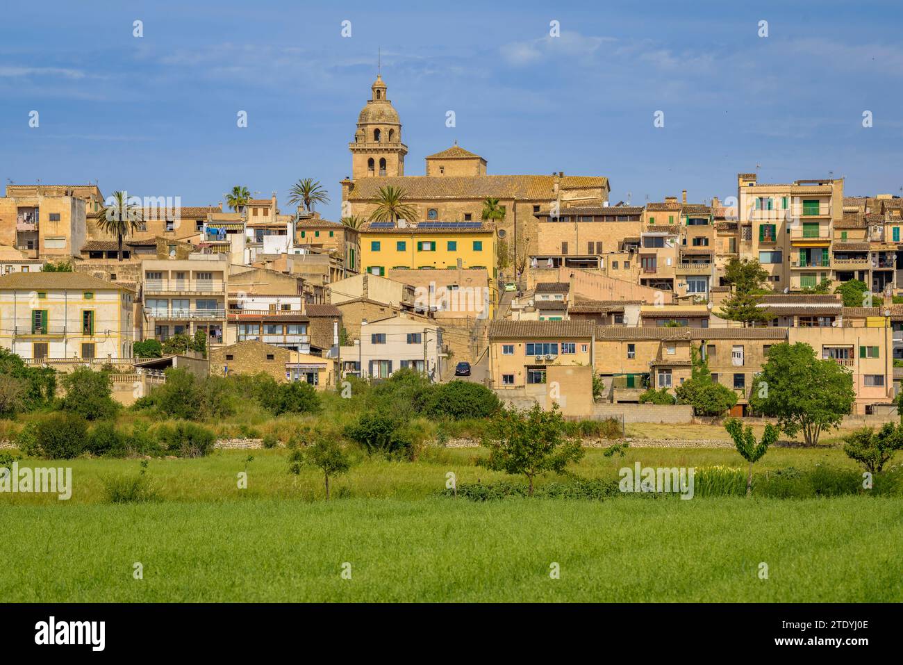 Dorf Montuiri und Kulturfelder in der Nähe des Dorfes, grün im Frühjahr (Mallorca, Balearen, Spanien) ESP: Pueblo de Montuiri y campos rurales Stockfoto