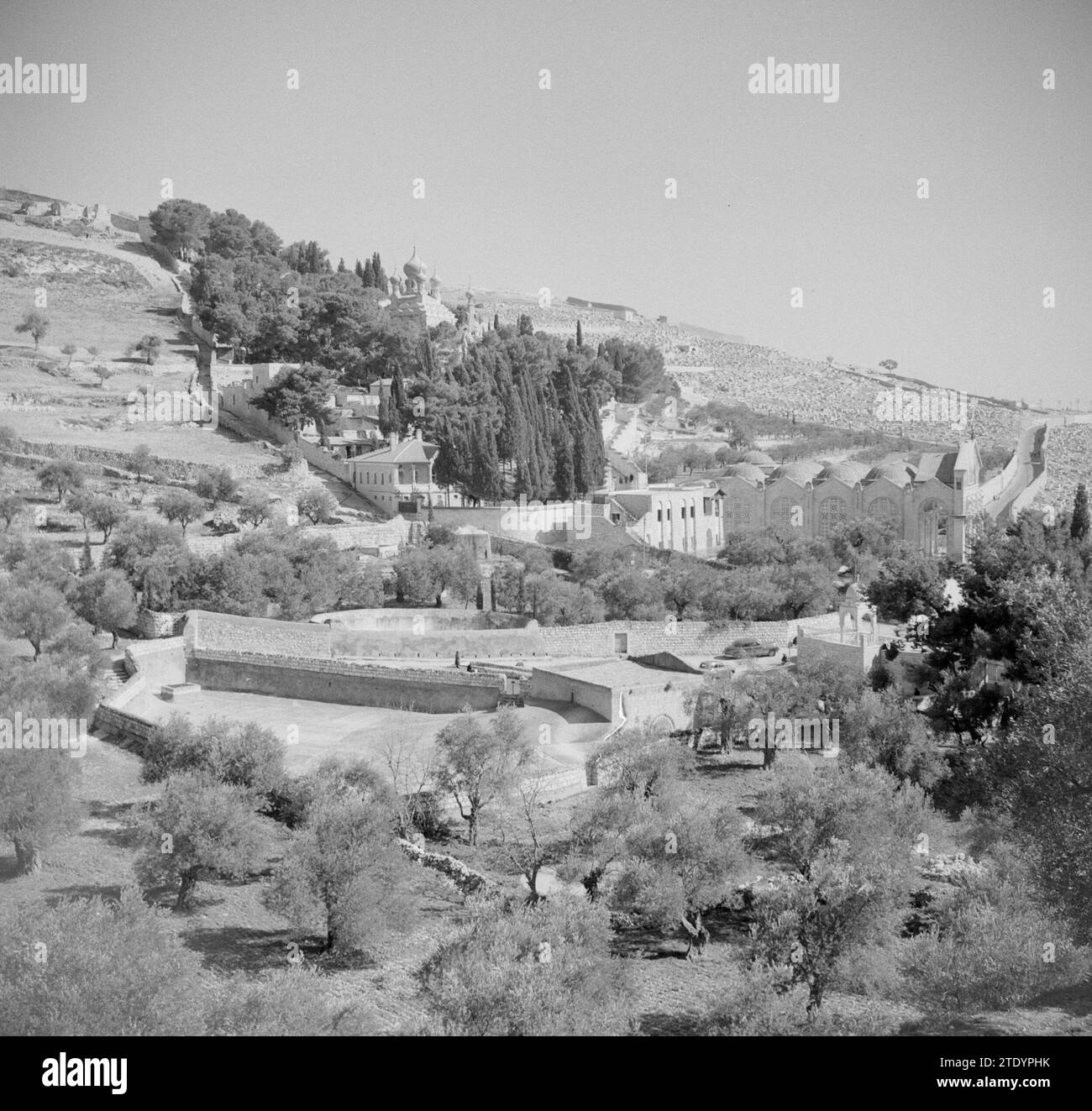 Garten von Gethsemane ca. 1950-1955 Stockfoto