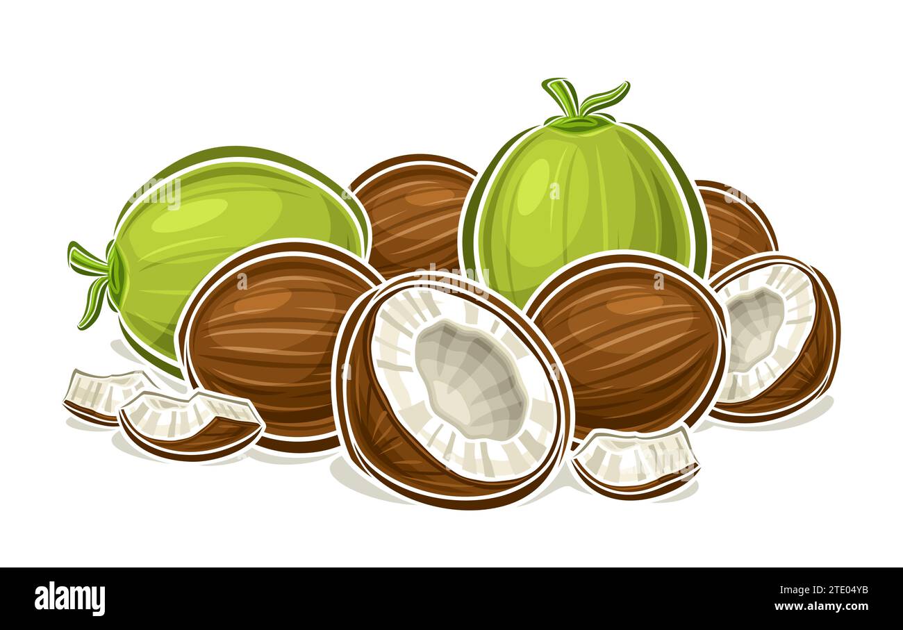 Vektor-Logo für Kokosnuss, dekoratives horizontales Poster mit Umrissillustration der ganzen und zerrissenen Kokosnuss-Zusammensetzung, Zeichentrickdesign fruchtiger Druck Stock Vektor