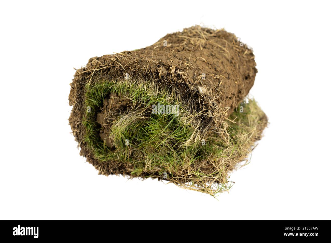 Grünes Gras mit Boden und Wurzeln isoliert auf weißem Hintergrund Stockfoto