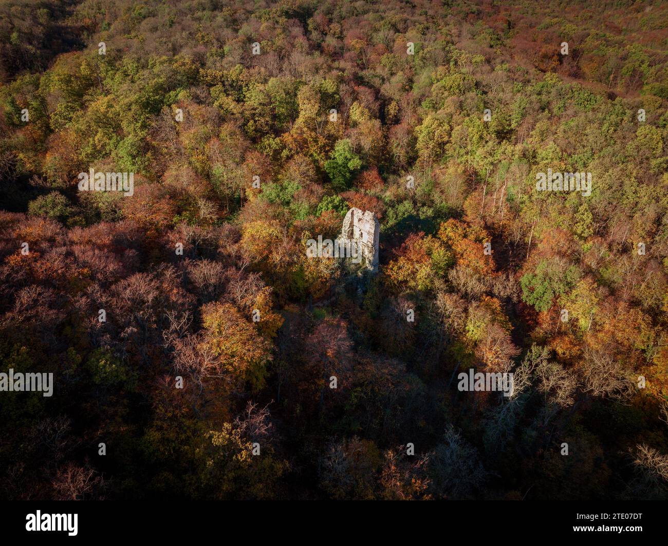 Farbenfrohe Herbststimmung Berglandschaft mit einer alten Burgruine. Dieser Ort liegt in Ungarn in der Nähe der Stadt Varpalota. Die Ruine der Mauer ist ein Teil der Mauer Stockfoto