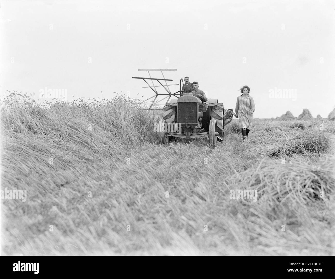 Landwirte mit Traktor und Mähmaschine im Anna Paulownapolder. Bäuerin geht neben dem Mäher ca. 1930 Stockfoto