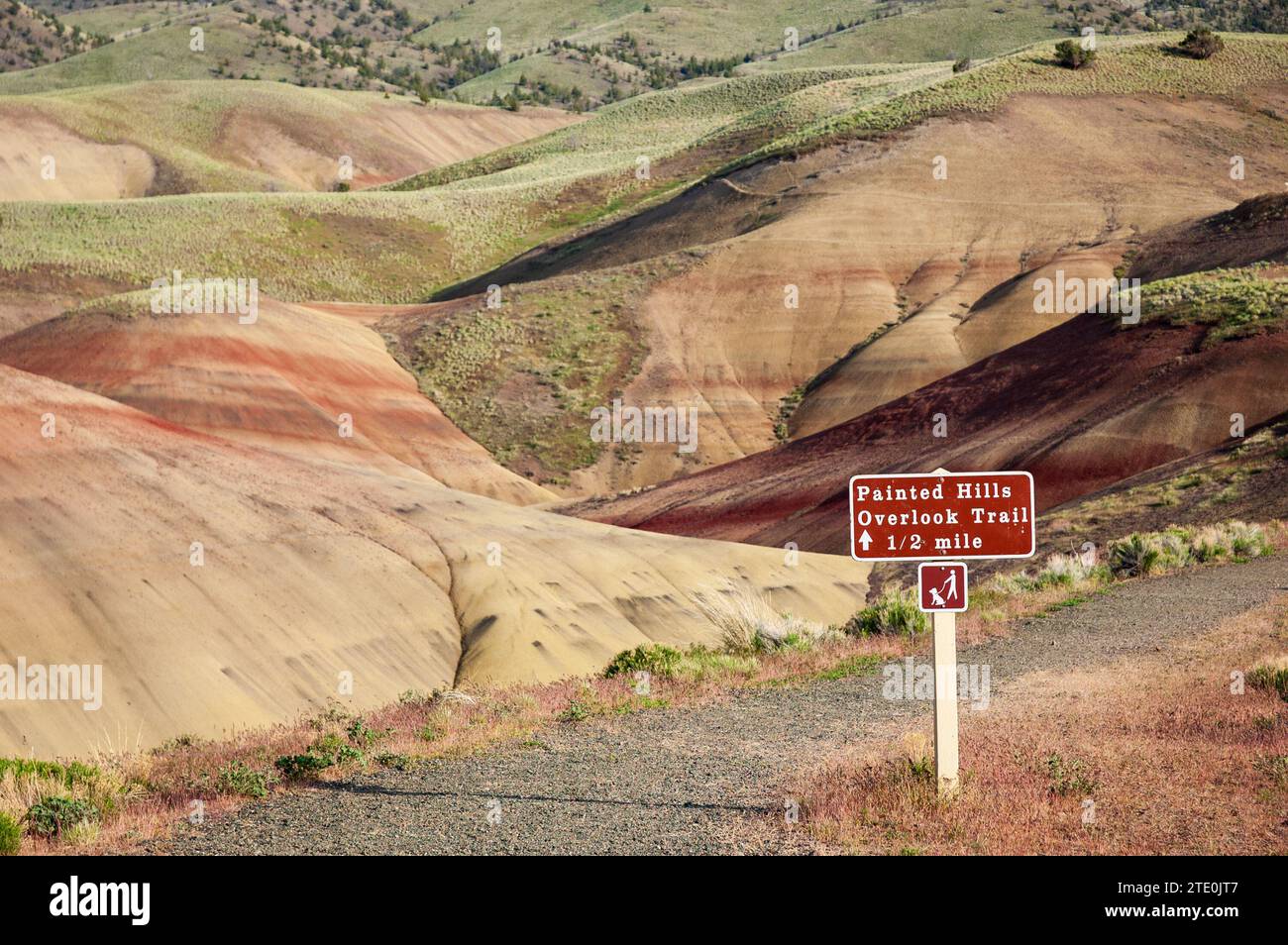 Ein Wanderweg am John Day Fossil Beds National Monument, Oregon Stockfoto