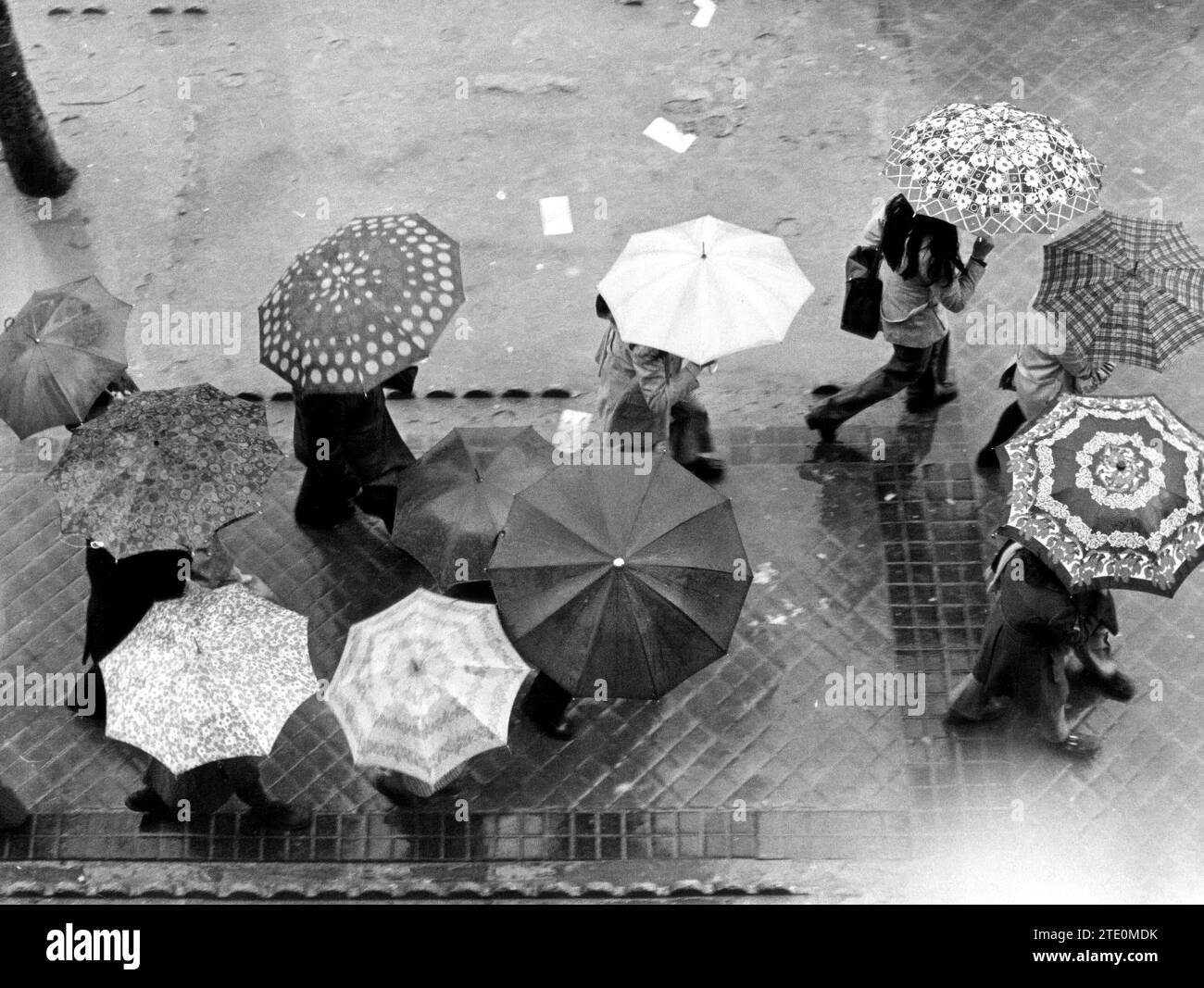 Madrid, 1975. Regen in den Straßen Madrids. Regenschirme dringen auf die Gehwege ein. Quelle: Album / Archivo ABC / Luis Ramírez Stockfoto