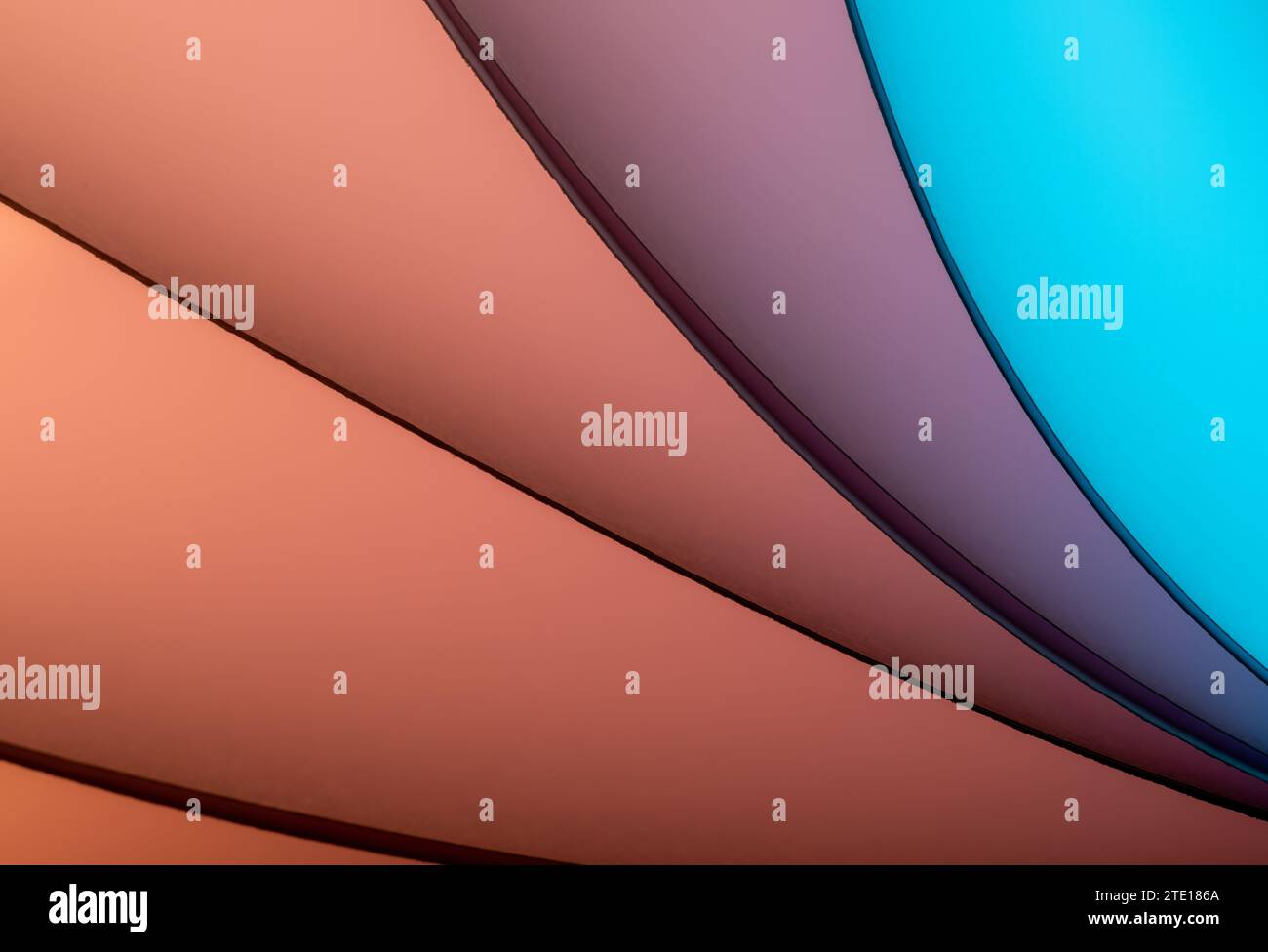 Blätter gefaltetes Papier, fotografiert mit zwei separaten Blitzen und mit farbigen Gelen, um die Farbe hinzuzufügen Stockfoto