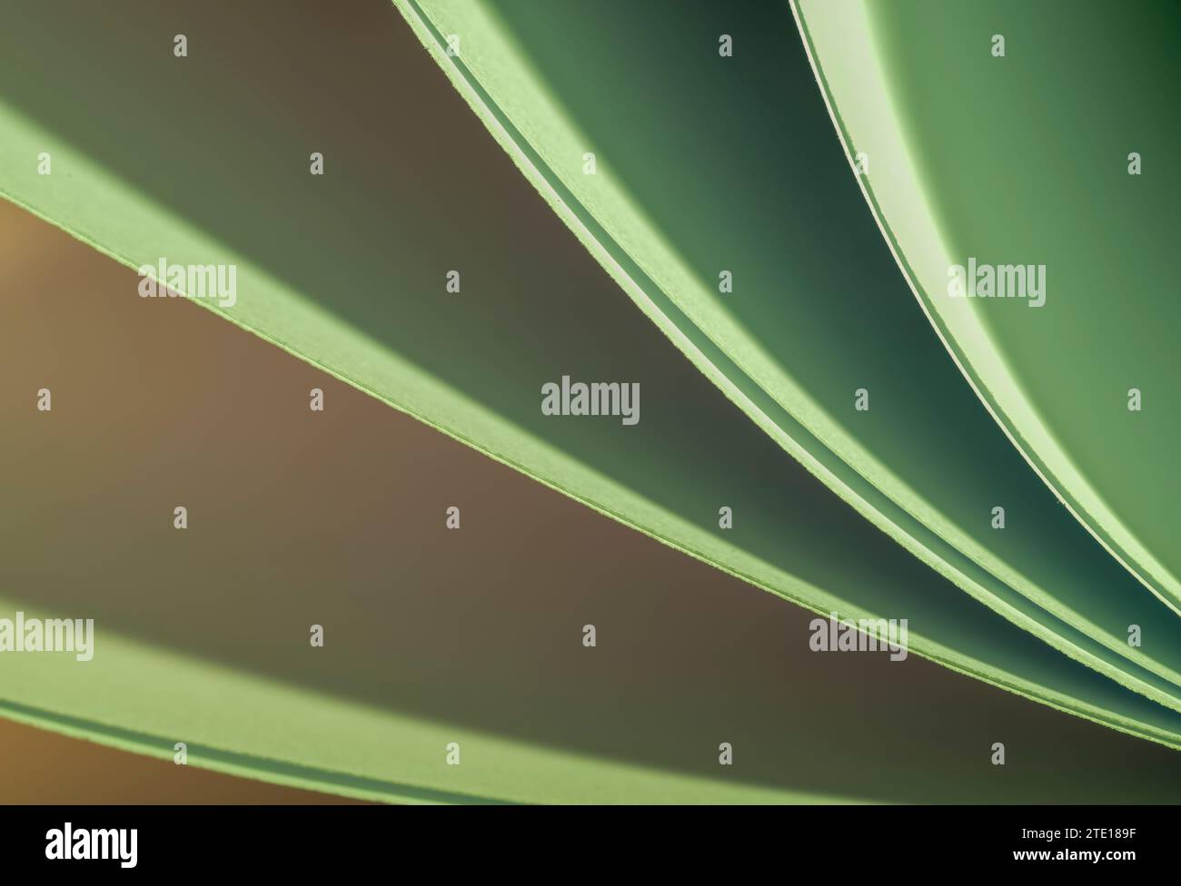 Blätter gefaltetes Papier, fotografiert mit zwei separaten Blitzen und mit farbigen Gelen, um die Farbe hinzuzufügen Stockfoto