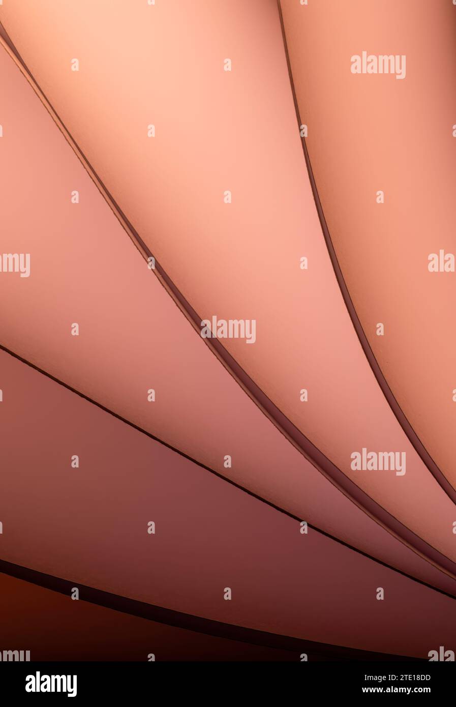 Blätter gefaltetes Papier, fotografiert mit zwei separaten Blitzen und mit farbigen Gelen, um die Farbe hinzuzufügen Stockfoto