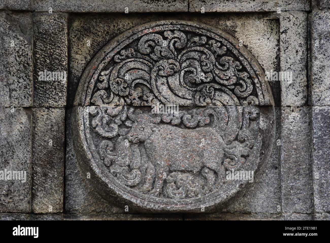 Medaillon im Penatarantempel mit Tierreliefs. Stockfoto