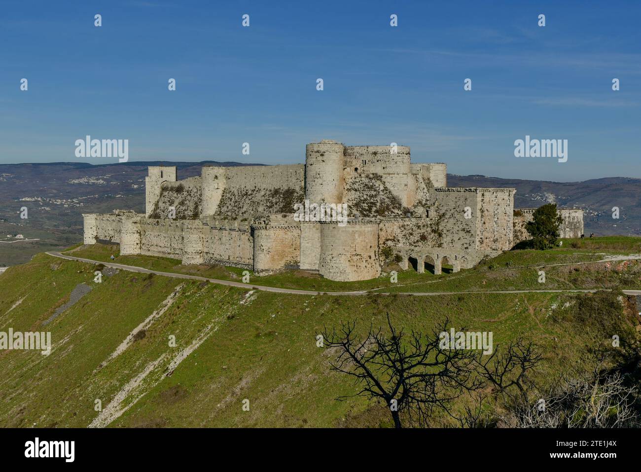 Krak des Chevaliers, 1142 an Knights Hospitalier gegeben. Eine der am besten erhaltenen Schlösser der Welt nach T E Lawrence. Al-Hsun, Syrien. Stockfoto