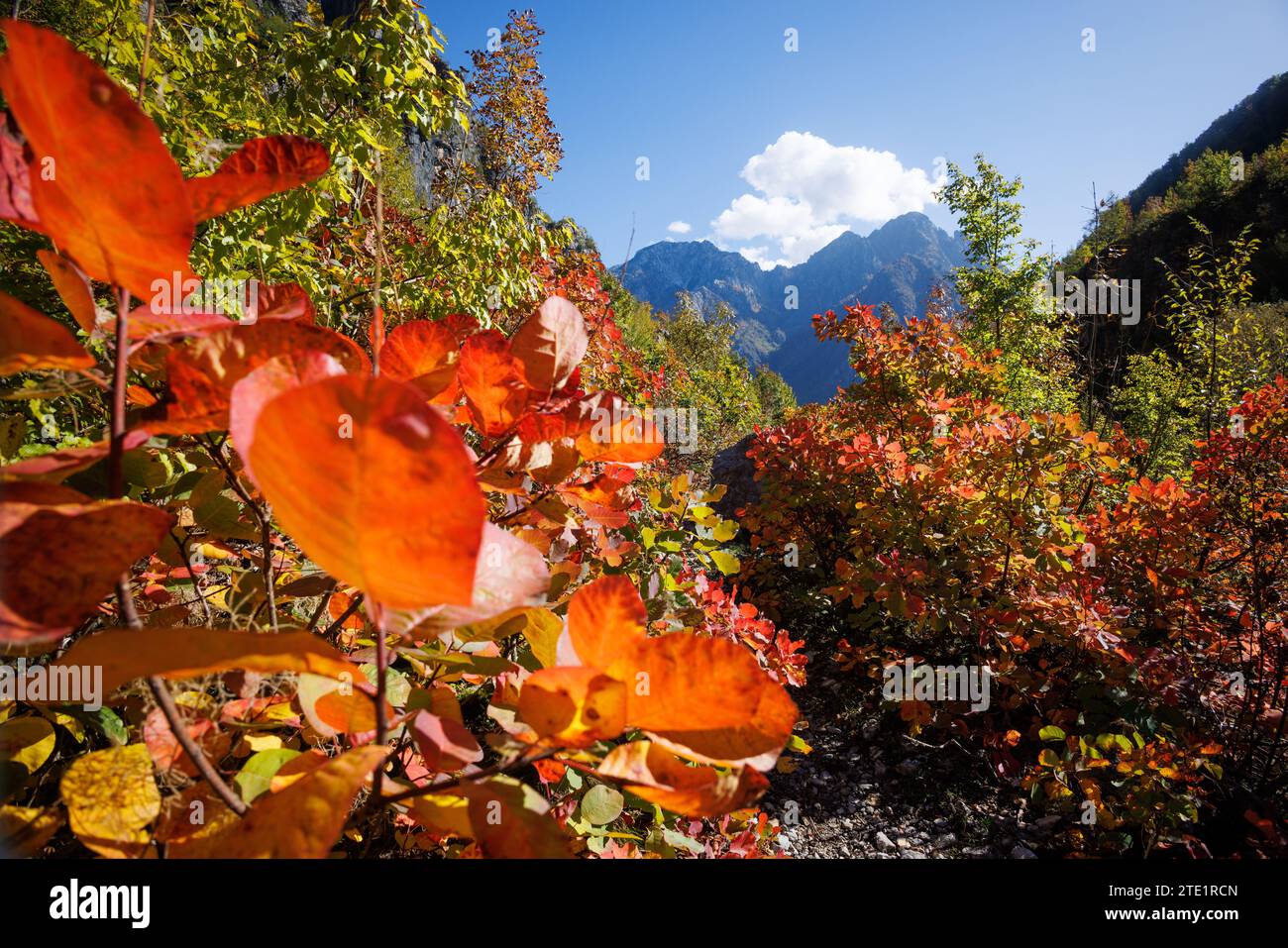 Farbenfrohe Natur in den albanischen Alpen im Herbst Stockfoto