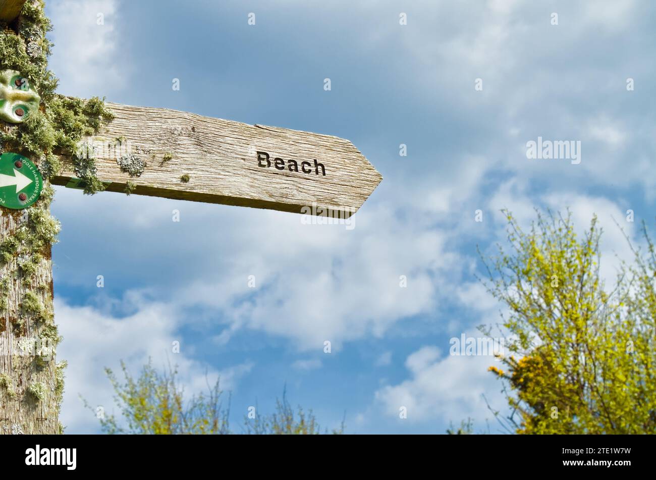 Verwitterter, hölzerner Wegweiser zum Strand, bedeckt mit Flechten, der in Richtung A Beach, Ham Common, Poole, Großbritannien zeigt Stockfoto