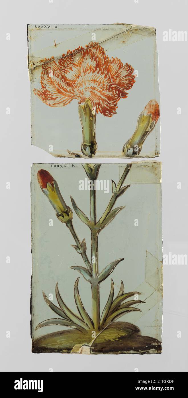 Oberer Teil eines Fensters mit einer Nelke, anonym, ca. 1650 - ca. 1675 Ein Diamant mit E-Mail-Gemälde einer Blume (Nelke) in Oranjerood und Grün. HINWEIS: Teil der Gruppe LXXXVI-A nach D. das Fenster besteht aus zwei Teilen, die zusammen mit Fault Food waren. Glas. Blei (Metall). Silberfleck Ein Diamant mit E-Mail-Gemälde einer Blume (Nelke) in Oranjerood und Grün. HINWEIS: Teil der Gruppe LXXXVI-A nach D. das Fenster besteht aus zwei Teilen, die zusammen mit Fault Food waren. Glas. Blei (Metall). Silberfleck Stockfoto Oberer Teil eines Fensters mit einer Nelke, anonym, ca. 1650 - ca. 1675 Ein Diamant mit E-Mail-Gemälde einer Blume (Nelke) in Oranjerood und Grün. HINWEIS: Teil der Gruppe LXXXVI-A nach D. das Fenster besteht aus zwei Teilen, die zusammen mit Fault Food waren. Glas. Blei (Metall). Silberfleck Ein Diamant mit E-Mail-Gemälde einer Blume (Nelke) in Oranjerood und Grün. HINWEIS: Teil der Gruppe LXXXVI-A nach D. das Fenster besteht aus zwei Teilen, die zusammen mit Fault Food waren. Glas. Blei (Metall). Silberfleck Stockfoto