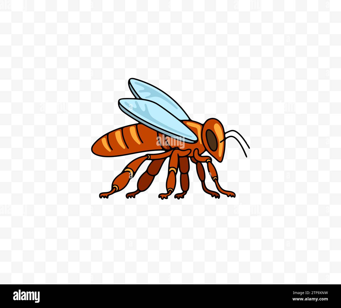 Bienen-, Insekten-, Tier-, Bienenzucht- und Bienenzucht, grafisches Design. Honigbiene, Bienengarten und Bienenzucht, Vektordesign und Illustration Stock Vektor