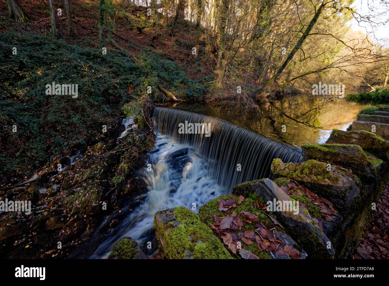 Wier in Skipton Castle Woods Stockfoto