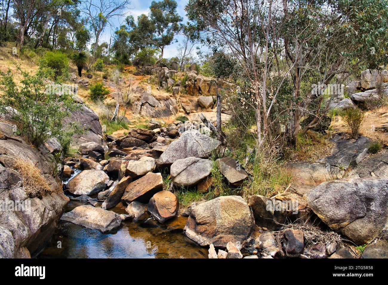 Klares felsiges Becken in einem Gebirgsbach, mit großen Felsbrocken und indigener westaustralischer Vegetation, im Kalamunda National Park in den Perth Hills Stockfoto