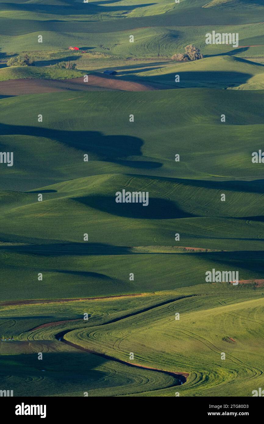 Rote Scheune bei Sonnenaufgang aus Steptoe Butte, Palouse, Washington Stockfoto