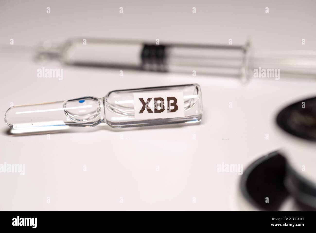 Nahaufnahme von XBB Impfstoff Fläschchen, medizinisches Gesundheitskonzept Stockfoto