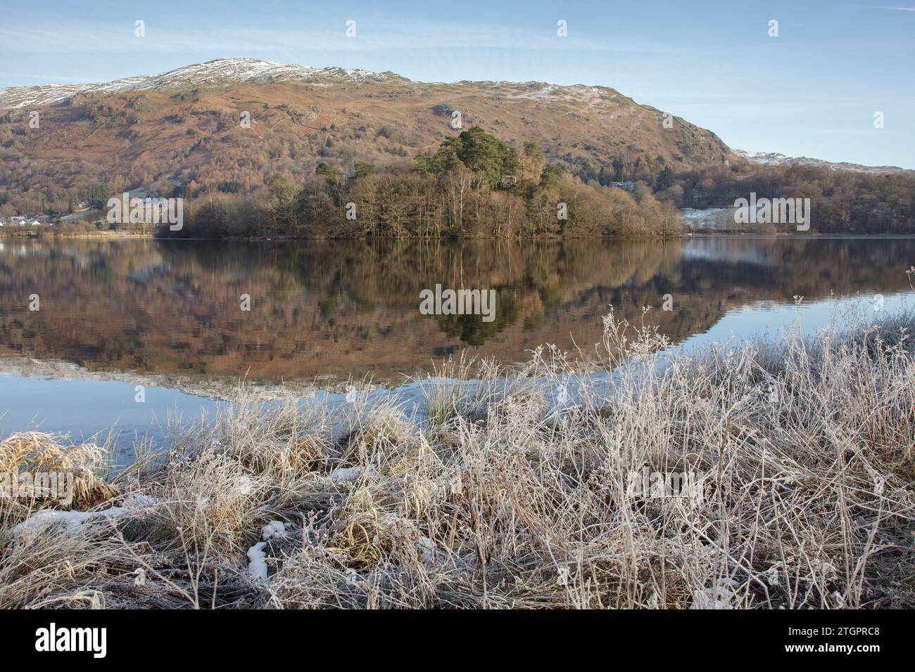 Frostpflanzen am Seeufer von Grasmere im Lake District, an einem stillen Wintermorgen Stockfoto