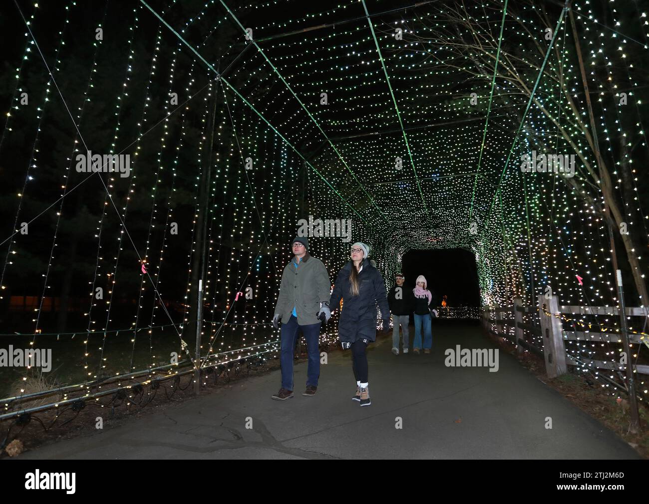 Menschen, die die Weihnachtsbeleuchtung des Detroit Zoo Wild Lights genießen Stockfoto
