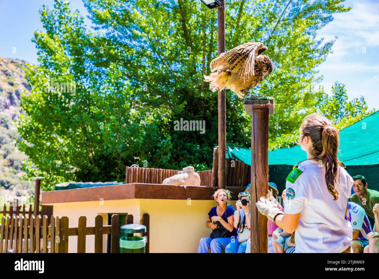 Falknerei-Ausstellung. Douro-Douro International Biological Station Einrichtungen. Internationale Biologische Station Douro-Douro. Miranda do Douro. Duero Ri Stockfoto