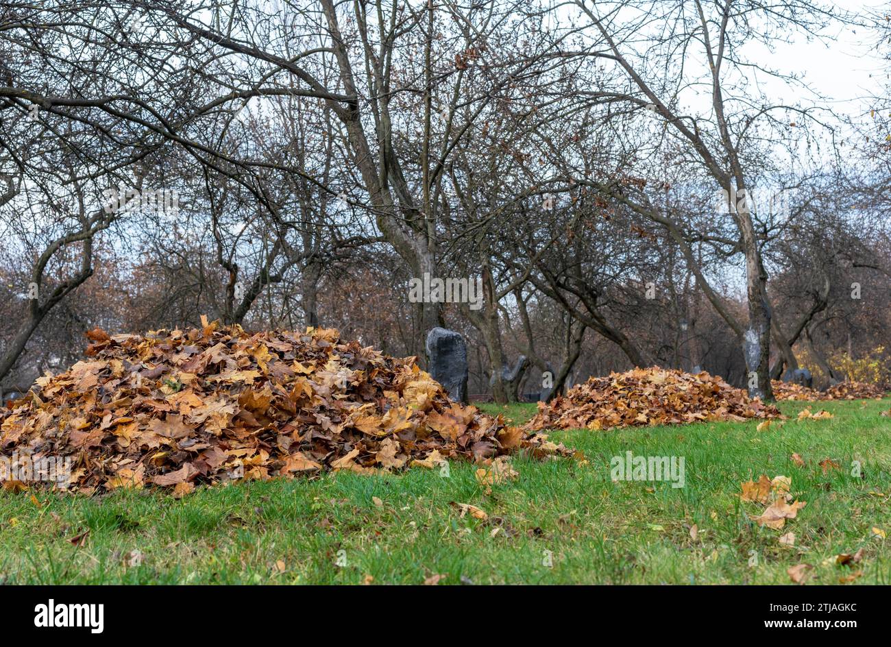 Herbstliche Blätter, die auf einer Rutsche in einem Stadtpark gesammelt wurden. Stockfoto