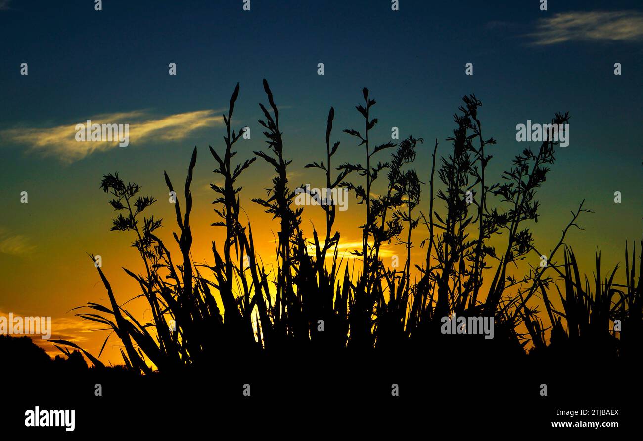 Misc22 bs357 Fotos und Bildmaterial in hoher Auflösung Alamy