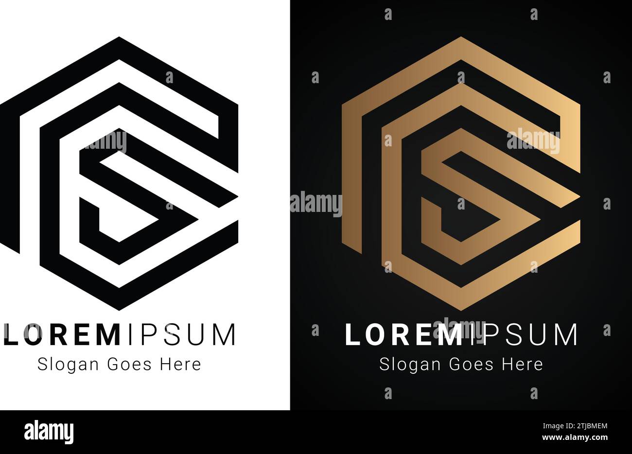 Luxuriöses Initial RS oder SR Monogramm-Logo-Design Stock Vektor