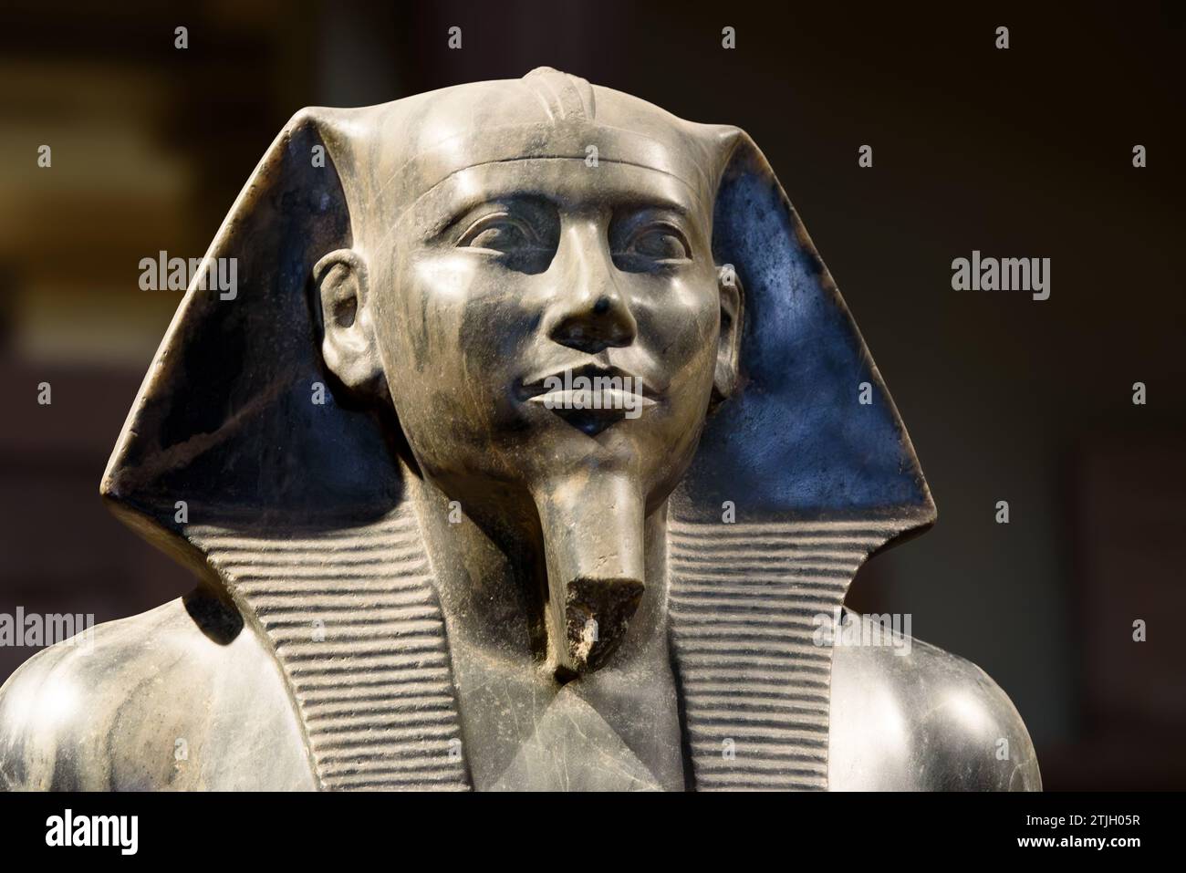 Statue von König Khafre. Diese Statue von König Khafre wurde in einer Grube unter seinem Taltempel in Gizeh entdeckt und ist eine der berühmtesten Skulpturen des alten Ägypten. Khafre war der Erbauer der zweiten Pyramide von Gizeh. Die Statue besteht aus Diorit, der in Tushki in der Nähe von Abu Simbel abgebaut wurde. Die Verwendung dieses Steins zeigt, dass sich die Macht von Khafre bis in den Süden des Landes erstreckte. 4. Dynastie, etwa 2520 - 2494 v. Chr. Ägyptisches Museum, Kairo, Ägypten. Stockfoto