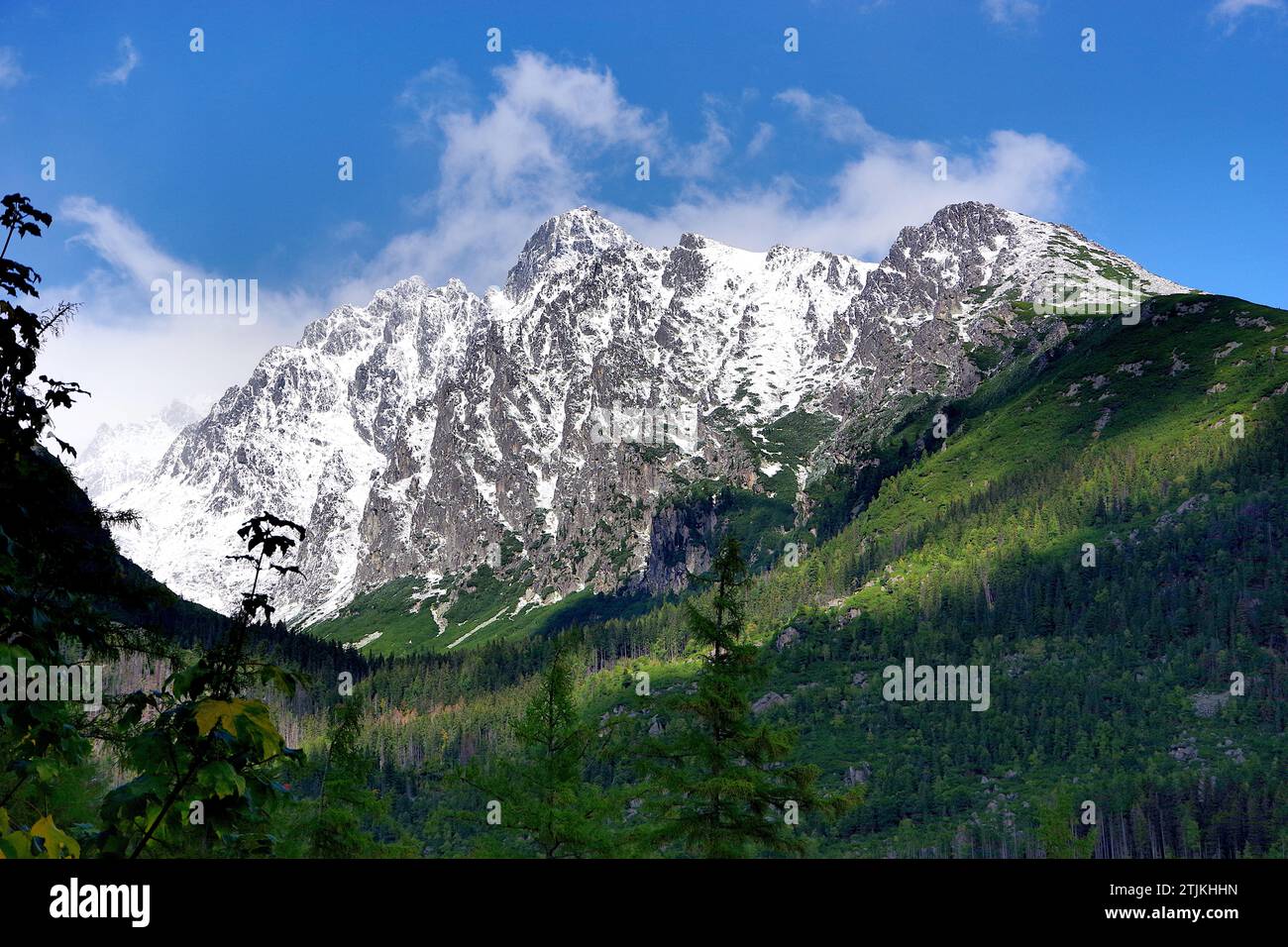 Die hohe Tatra der Slowakei. Hrebienok - zu Fuß zum Vodop‡dy StudenŽho potoka - in der Nähe von Hrebienok, Slowakei. Quelle: JHelebrant Stockfoto