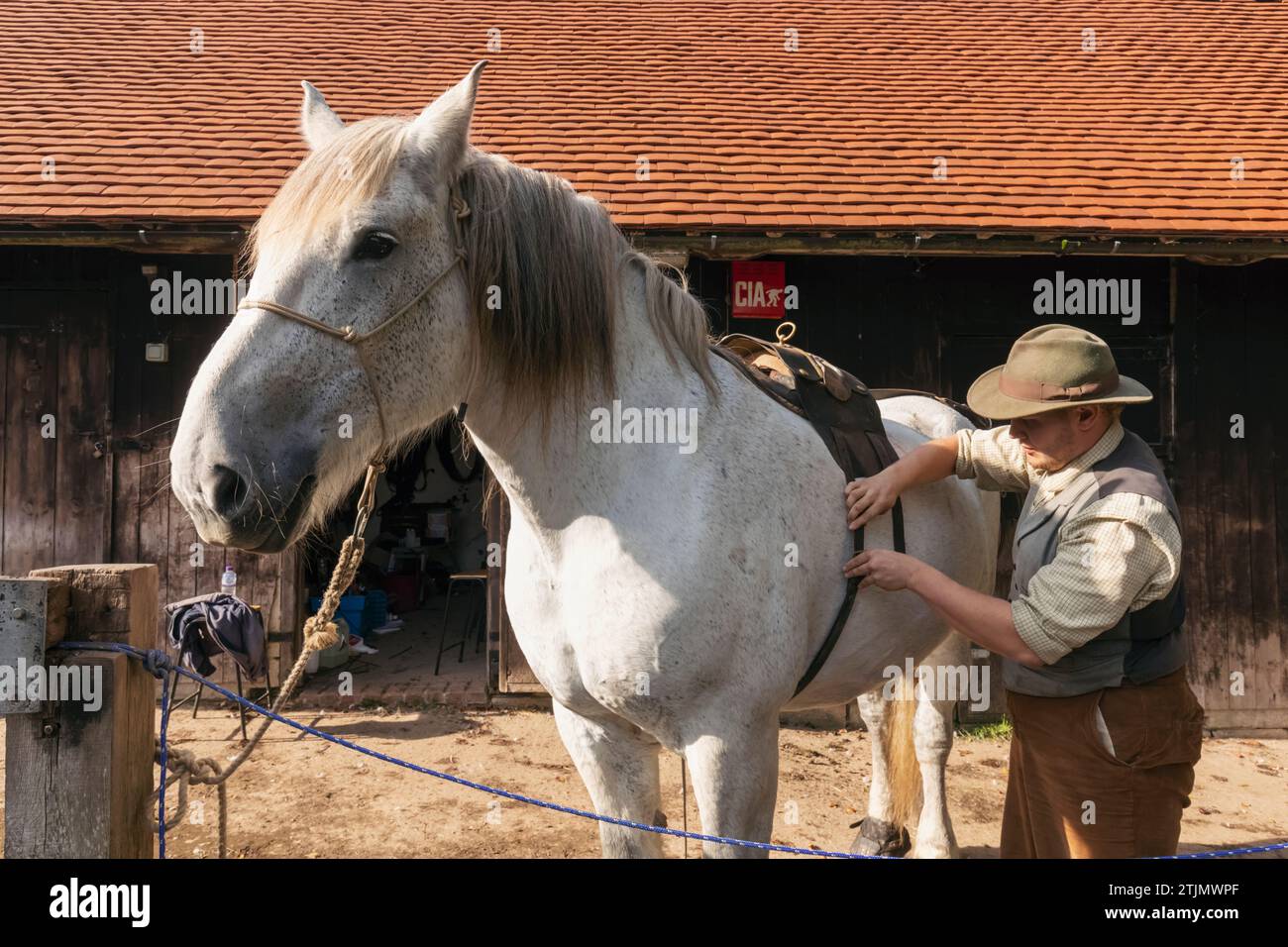 England, West Sussex, Weald and Downland Living Museum, Working Horse Stockfoto