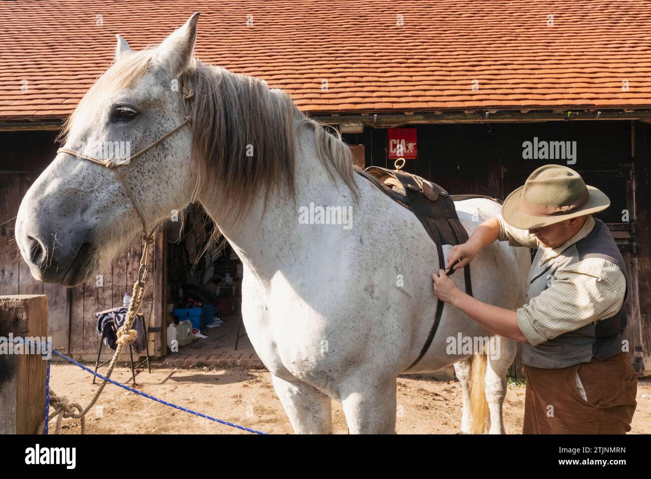 England, West Sussex, Weald and Downland Living Museum, Working Horse Stockfoto