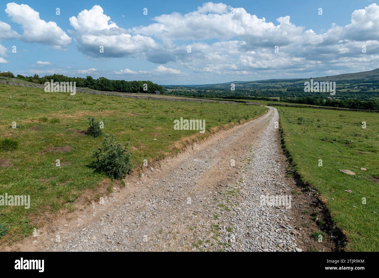 Enge Straße auf dem Land in England Stockfoto