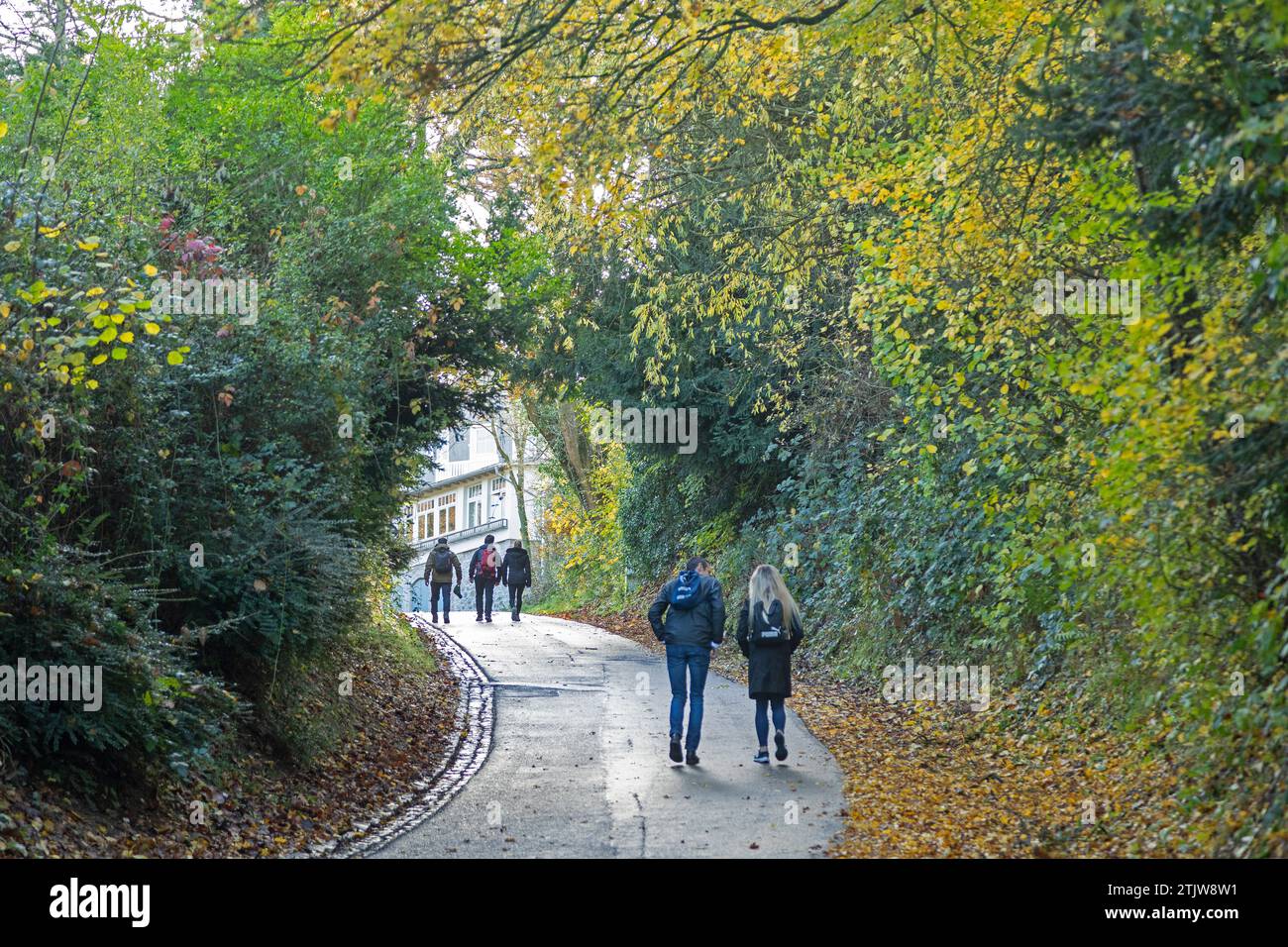 Menschen, Eselspuren nach Drachenfelsen, Königswinter, Nordrhein-Westfalen, Deutschland Stockfoto