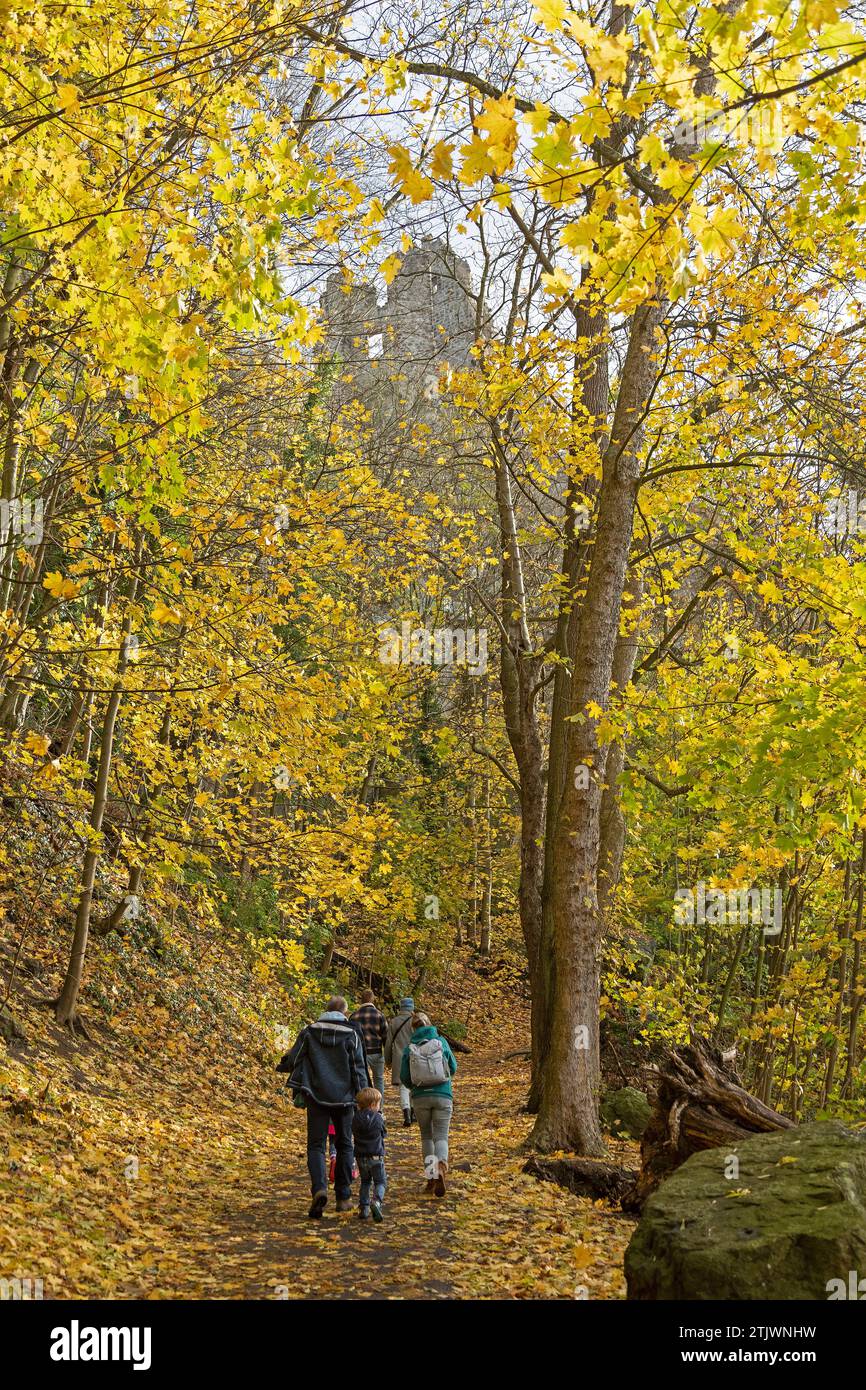 Menschen, ´Eselspuren´ zum Drachenfelsen, Burgruine, Königswinter, Nordrhein-Westfalen, Deutschland Stockfoto