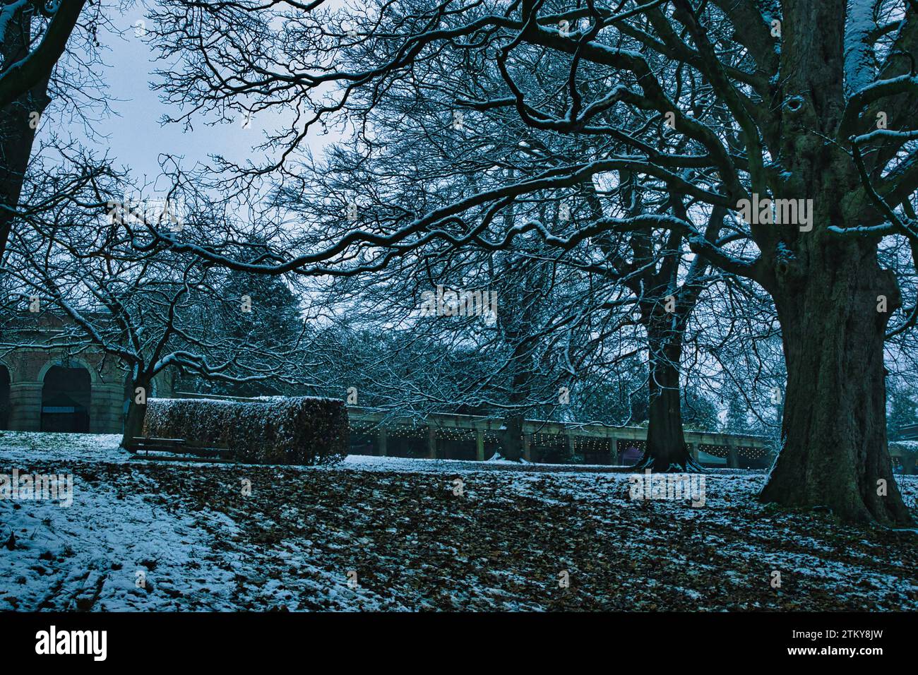 Wunderschöne Aufnahmen, die während des Winters in Harrogate aufgenommen wurden Stockfoto Wunderschöne Aufnahmen, die während des Winters in Harrogate aufgenommen wurden Stockfoto
