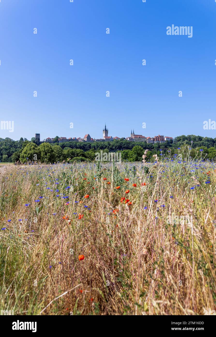 Bad Wimpfen mit Blick auf die alte Kirche und die historische Stadtmauer über Felder Stockfoto