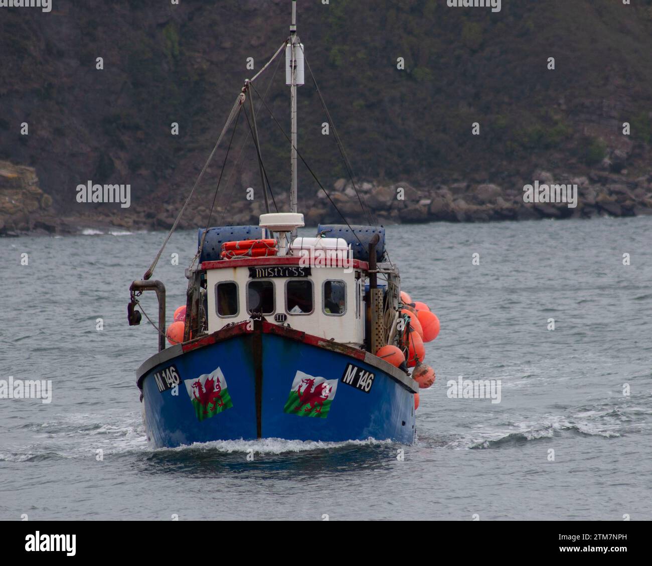 Fischerboot, das nach Tenby Harbour Pembrokeshire Wales fährt, mit der walisischen Flagge auf der Vorderseite. Stockfoto