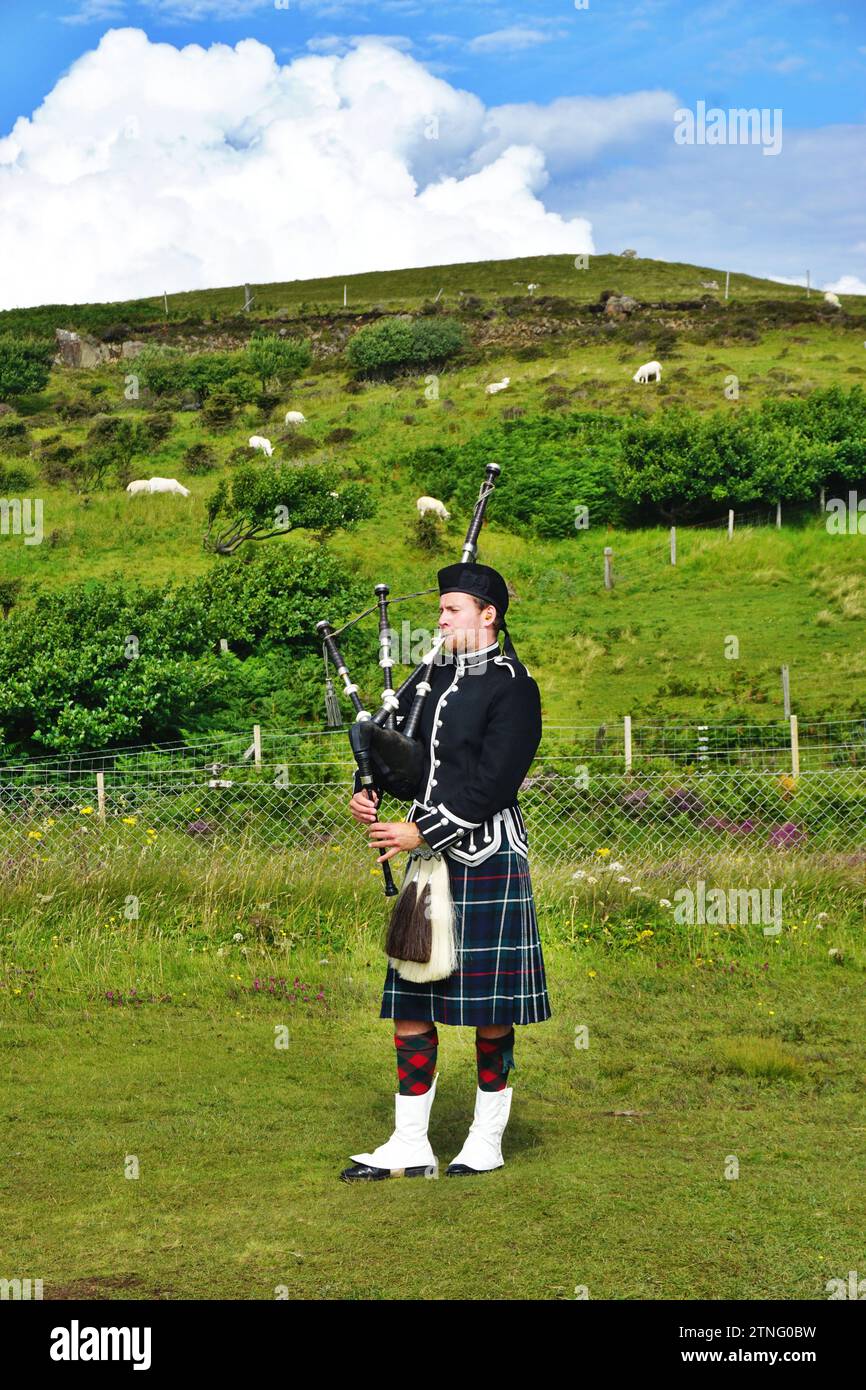 Ein einsamer Piper mit voller Kilt-Insignien spielt den Dudelsack, während Schafe an einem sonnigen Tag auf der Isle of Skye, Schottland, die Bergwiesen grasen Stockfoto