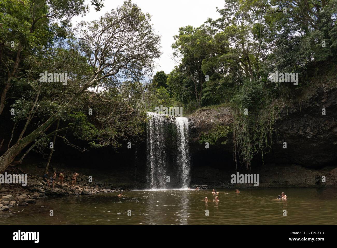 Touristen schwimmen im Tauchbecken bei Killen Falls, Tintenbar im Hinterland von Byron Bay-Ballina Stockfoto