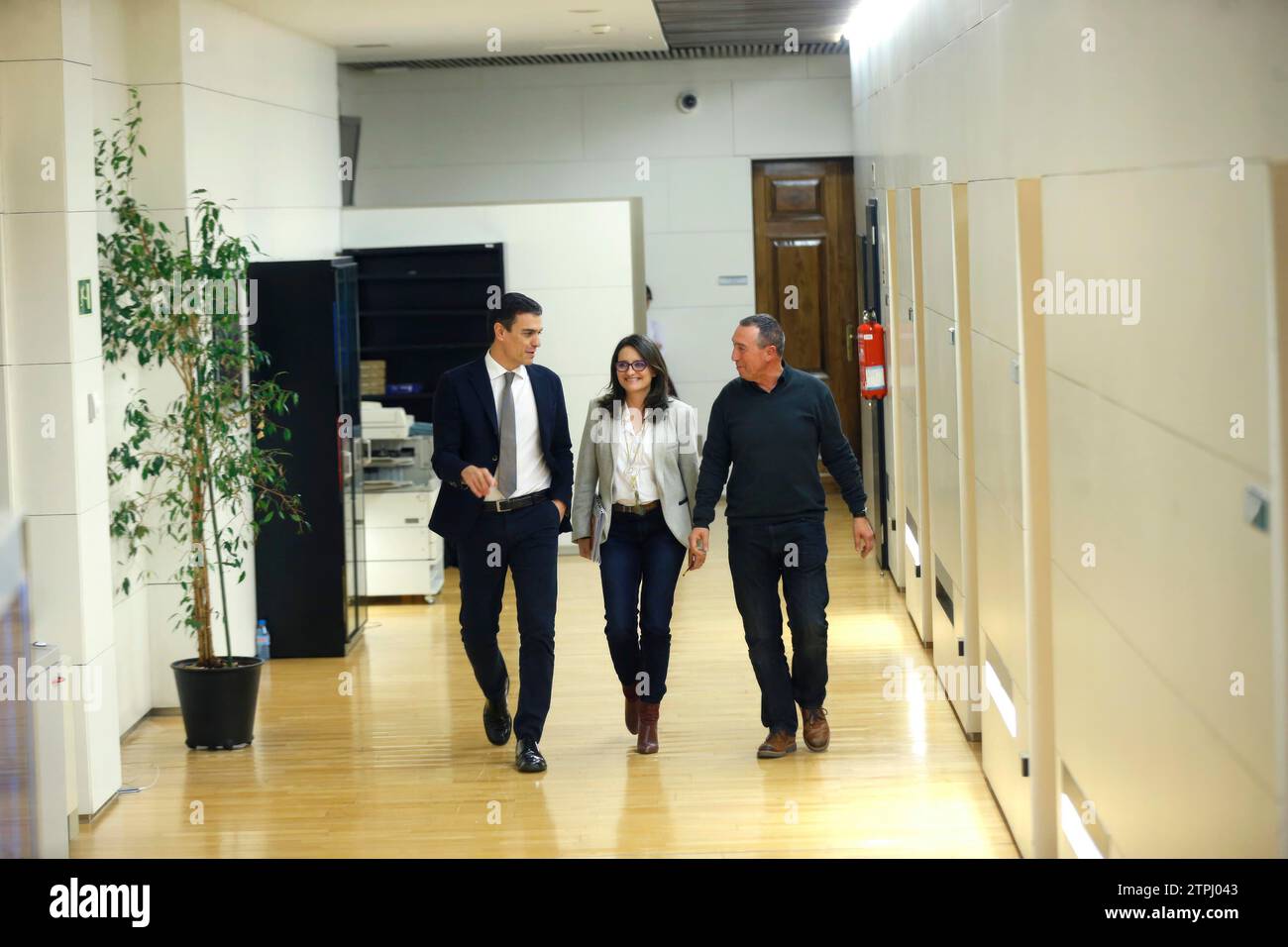 Madrid, 02.03.2016. Der PSOE-Führer Pedro Sánchez trifft sich mit Mónica Oltra und Joan Baldovi, den Abgeordneten der Compromis. Foto: Ángel de Antonio Archdc. Quelle: Album / Archivo ABC / Ángel de Antonio Stockfoto