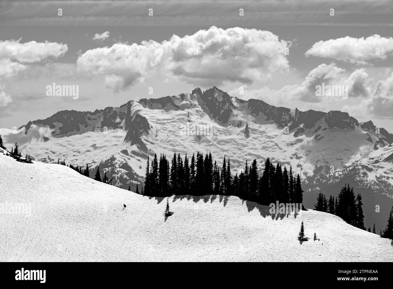 Unberührte Schwarzweiß-ausblicke auf die zerklüfteten Gipfel und Wälder von British Columbia Stockfoto