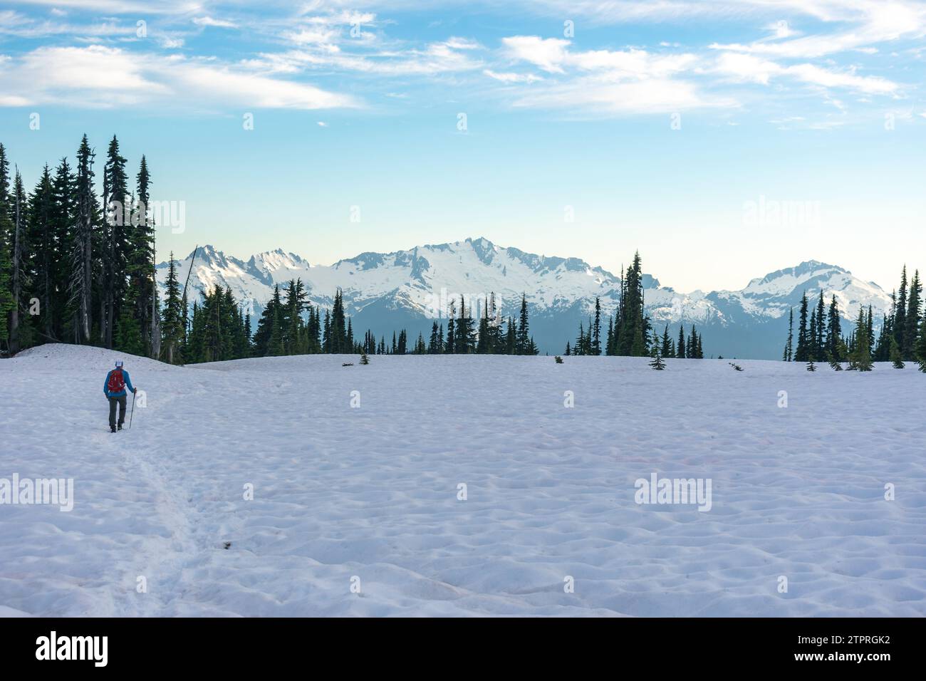 Ein Wanderer durchquert die schneebedeckten Hänge des Panorama Ridge Trail mit den atemberaubenden Bergen des Garibaldi Provincial Park. Stockfoto