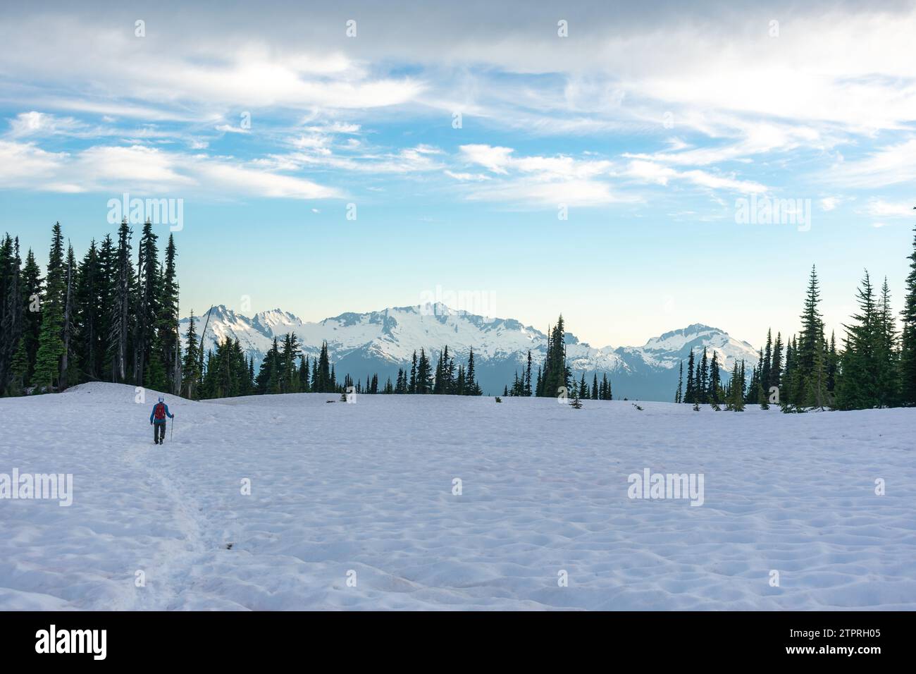 Ein Wanderer durchquert die schneebedeckten Hänge des Panorama Ridge Trail mit den atemberaubenden Bergen des Garibaldi Provincial Park. Stockfoto