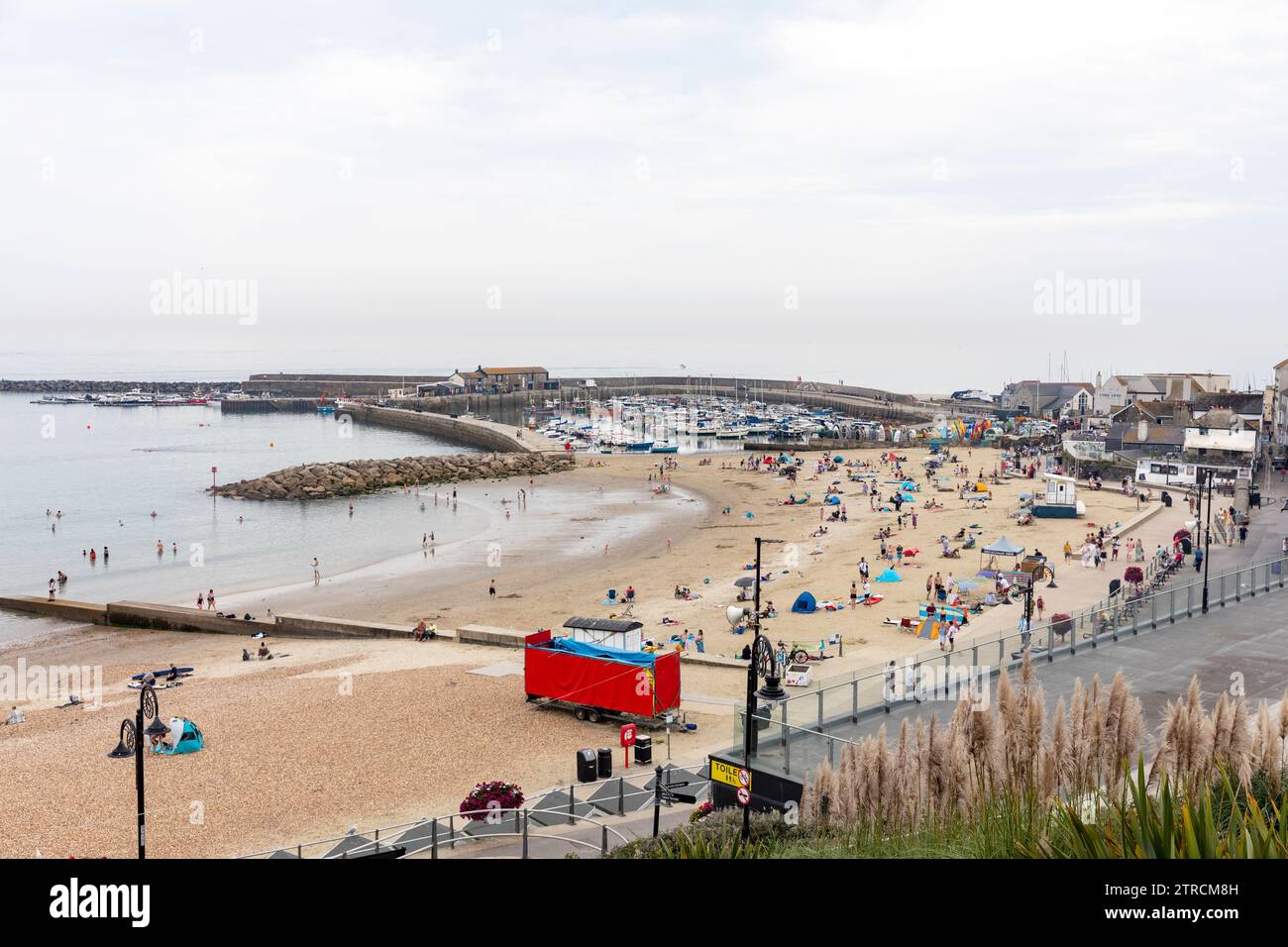 Lyme Regis Dorset Stockfoto