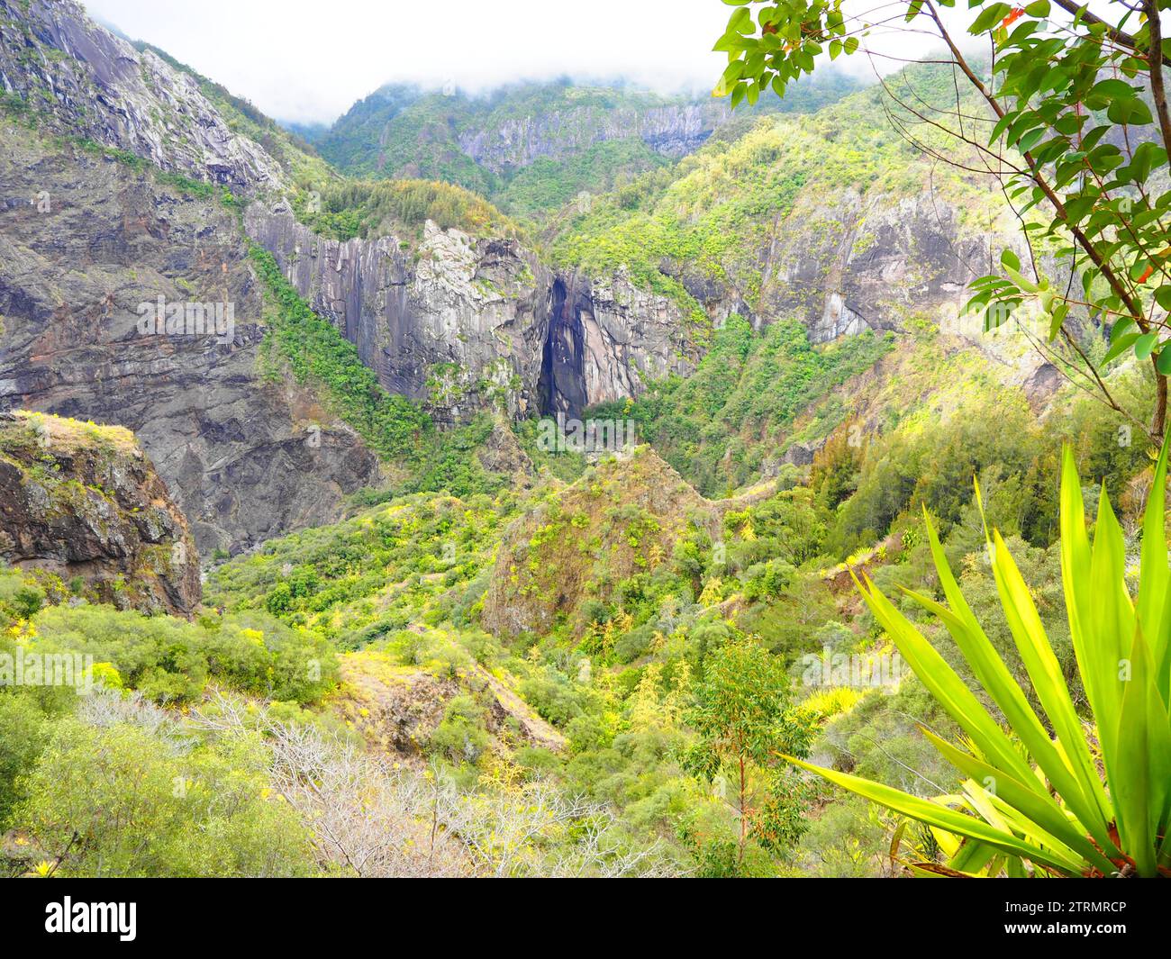 Das Beste der Insel Réunion - La Réunion, Mascarene-Inseln, Indischer Ozean, d'Outre-Mer Stockfoto